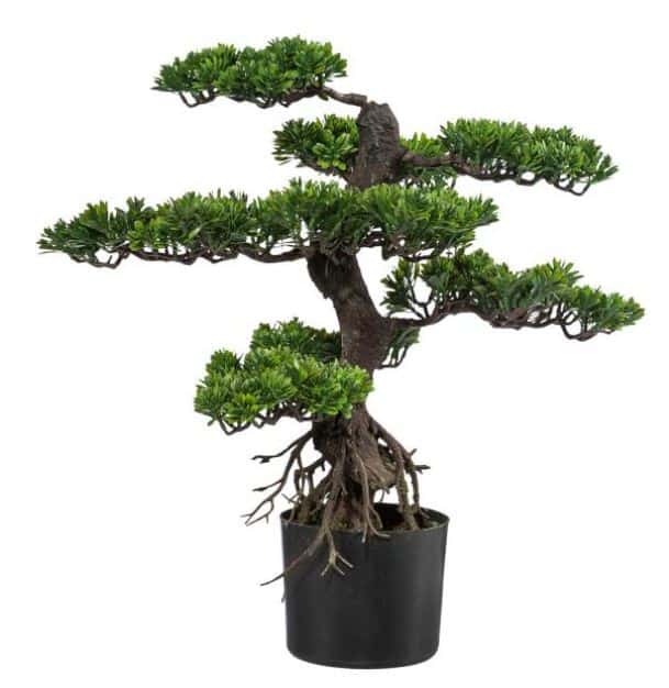 piante finte che sembrano vere: il bonsai